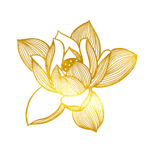 —Pngtree—gold foil line drawing lotus 6699970 1