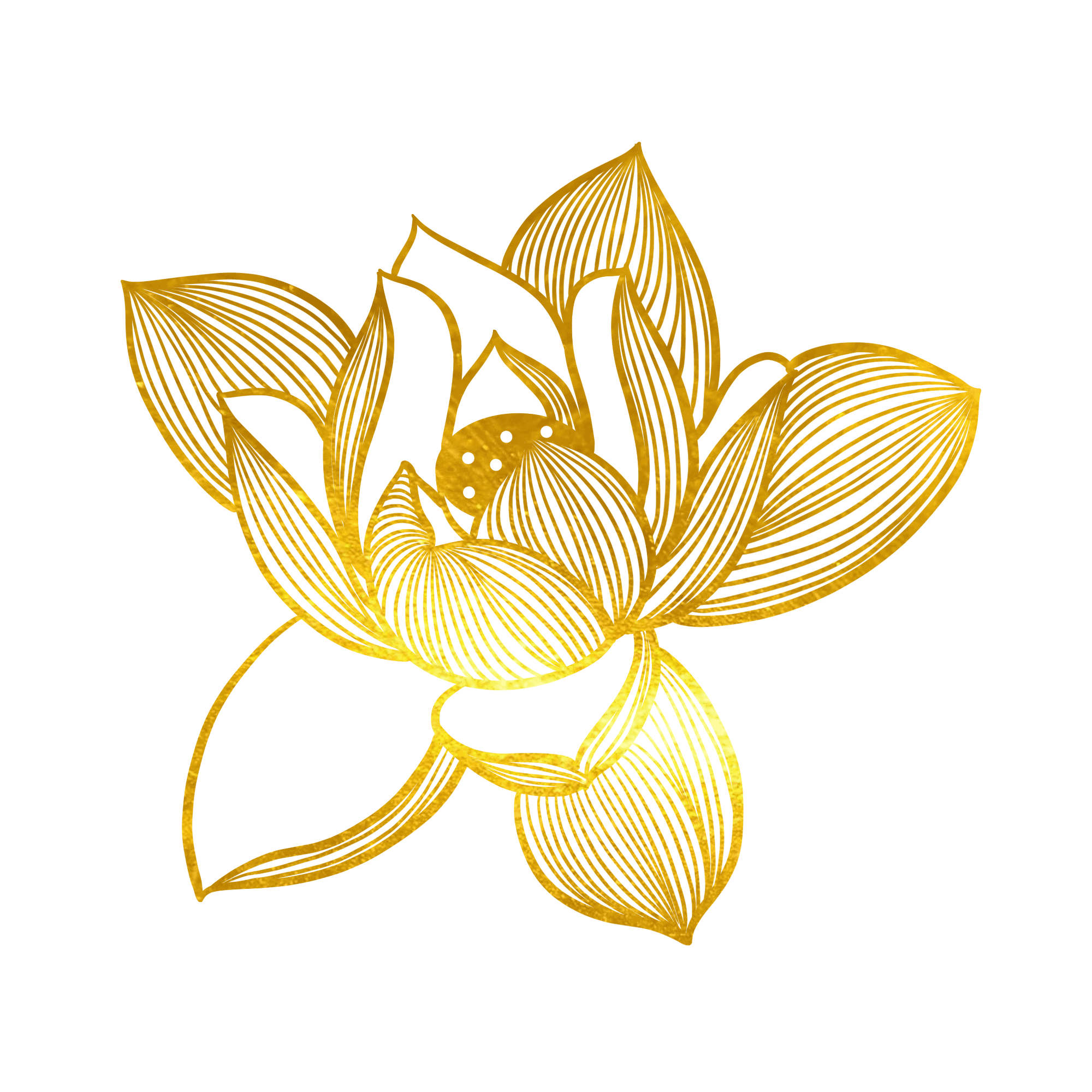 —Pngtree—gold foil line drawing lotus 6699970 1